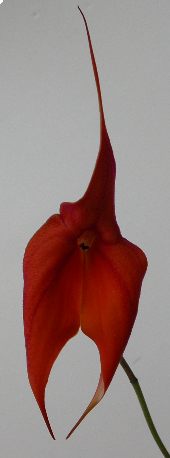 DSCN7870_min